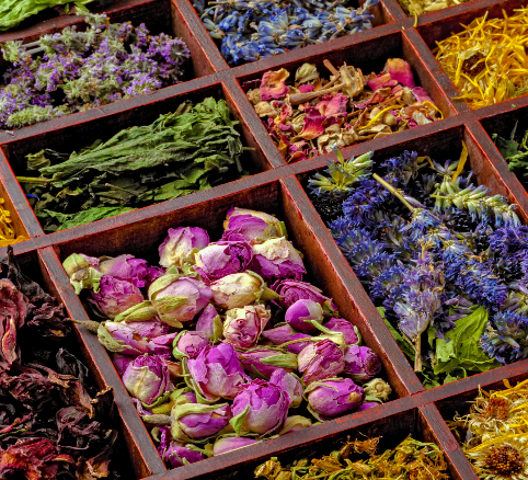 Natural Detoxing: Ancestral Caribbean Wisdom Meets Modern Wellness Caribbean herbs and natural wellness